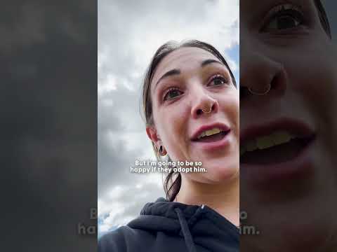Woman Ruins Her New Shoes And Helps Lost Duckling Find His Family | The Dodo thumbnail