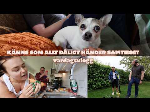 HARLEY har ont i ryggen och DET BLIR INGA MER BOXAR... Häng med en dag, VLOGG 21 MAJ thumbnail