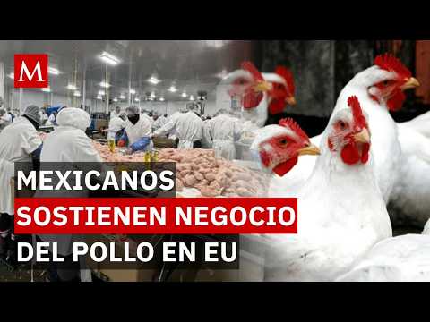 ¡Orgullo y dolor! Los migrantes mexicanos que sostienen la "capital mundial del pollo" en EU thumbnail