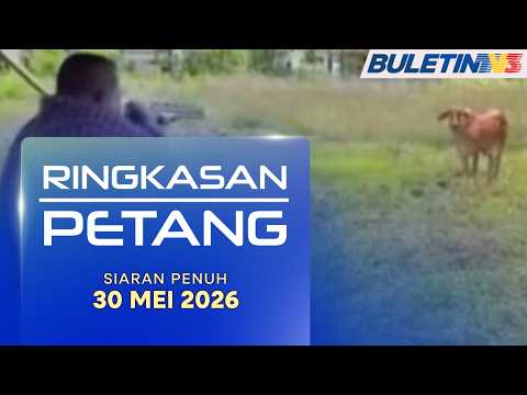 Tembak Lembu Korban: Polis Rampas 'Shotgun' MB Perlis | Ringkasan Petang, 30 Mei 2026 thumbnail
