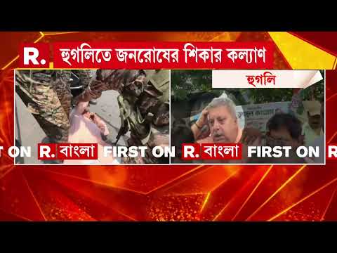 হুগলিতে জনরোষের শিকার কল্যাণ ব্যানার্জি। চণ্ডীতলায় মাথা ফাটল তৃণমূল সাংসদের thumbnail
