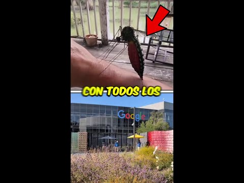 Google acabará con todos los mosquitos del mundo en 1 día. thumbnail