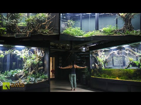 The World's Largest Home Ecosystem Setup - 2 YRS Later thumbnail