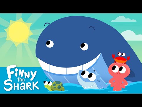 Mr. Golden Sun | Kids Song | Finny The Shark thumbnail