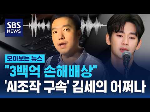"3백억 손해배상"..'AI조작 구속' 김세의 어쩌나 / SBS / 모아보는 뉴스 thumbnail