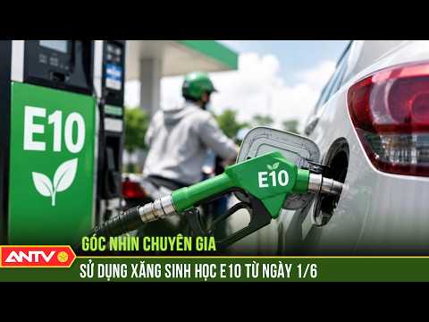 Từ 1/6, xăng sinh học E10 chính thức được phân phối trên toàn quốc | ANTV thumbnail