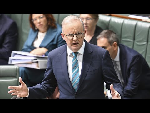 Labor’s budget gives small business the opportunity to ‘plan ahead’: Prime Minister thumbnail
