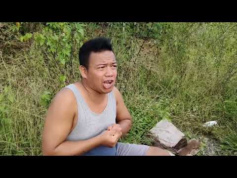 slebew thumbnail