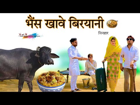 भैंस खावे बिरयानी @HAKKUSINGARIYA  // Aafiq Singariya thumbnail