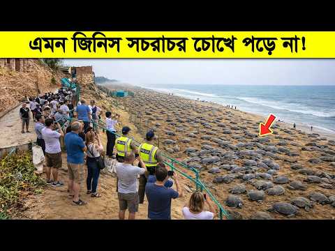 ভিডিওটা দেখুন ! নির্ঘাত বোকা বনে যাবেন। কিছু জিনিসের কোনো ব্যাখা হয় না ! thumbnail