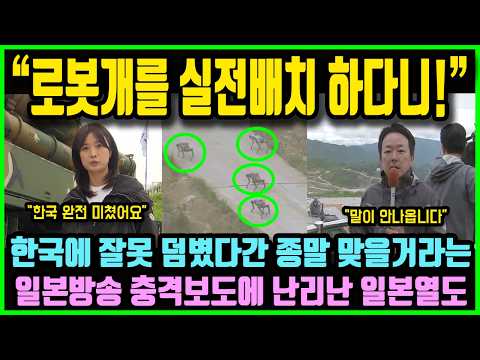 일본 방송사들 일제히 경악, "한국한테 잘못 덤볐다간 재앙이 아니라 종말!" 로봇개까지 실전배치한 한국의 역대급 군사훈련에 충격받은 일본 네티즌들 thumbnail