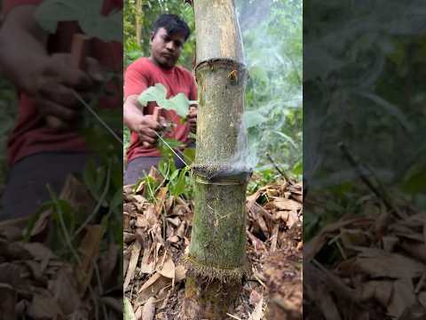 Amazing Bamboo Water Glass Made with Simple Wire Tool | Eco-Friendly Craft thumbnail