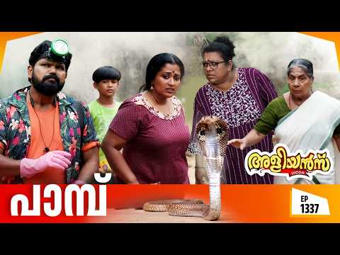 Aliyans - 1337 | പാമ്പ് | Latest episode | Malayalam Comedy | Sitcom thumbnail