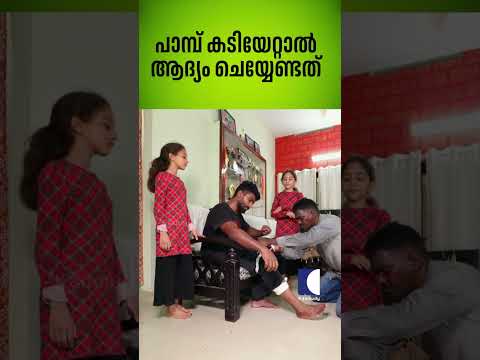 പാമ്പ് കടിയേറ്റാൽ ആദ്യം ചെയ്യേണ്ടത് #snakemaster #vavasuresh #snakebitefirstaid thumbnail