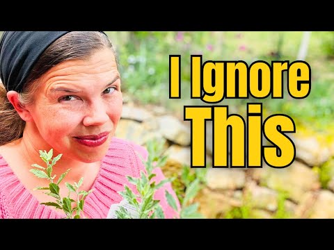 Gardening Rules I Ignore thumbnail