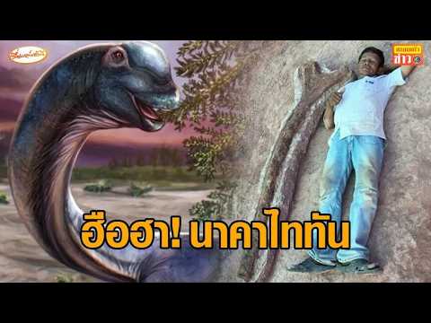 ฮือฮา 'นาคาไททัน' ไดโนเสาร์พันธุ์ไทยใหญ่สุดในอาเซียน คาดมีชีวิตอยู่เมื่อ 100-120 ล้านปีก่อน thumbnail