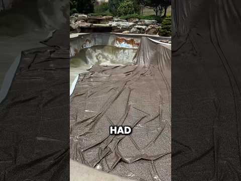 He Thought He Had Just Ruined His Pool thumbnail