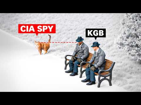 How the CIA uses animals to spy thumbnail
