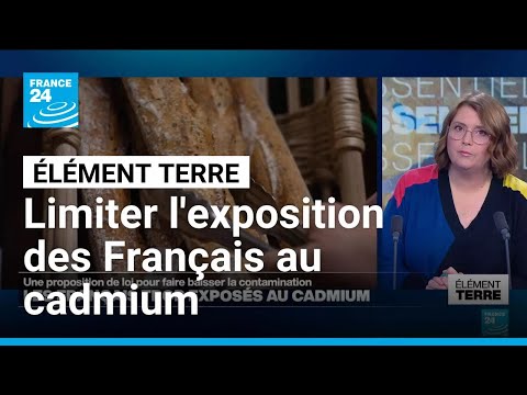 Une proposition de loi pour limiter l'exposition des Français au cadmium • FRANCE 24 thumbnail