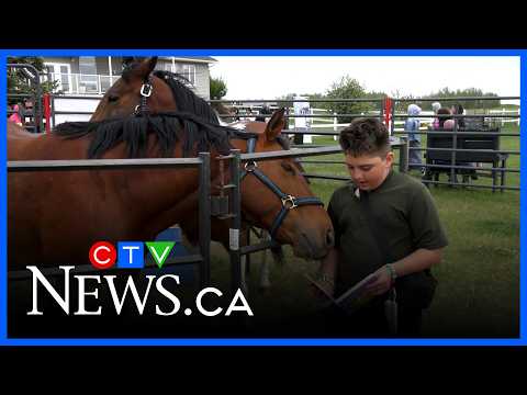 How horsepower helps to raise readers thumbnail