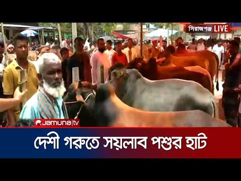 সিরাগঞ্জে হাটে পর্যাপ্ত পশু থাকলেও ক্রেতার সংখ্যা তুলনামূলক কম | Shirajganj | Korbani Hat | JamunaTV thumbnail