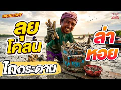 วิถีเซียนประมงโคลน 20 ปี #ลุงพงษ์ ไถกระดานล่าหอย HIGHLIGHT | SUPER100 thumbnail