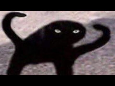 memes that make me commit tiny laugh thumbnail