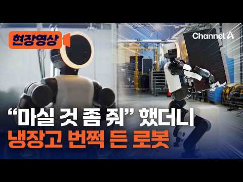 “음료수 갖다 줘” 했더니 23kg 냉장고를 ‘번쩍’…현대차 로봇 '아틀라스' [현장영상] / 채널A thumbnail