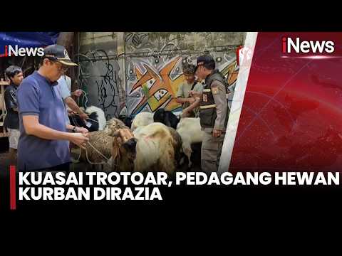 Kuasai Trotoar, Pedagang Hewan Kurban Kena Razia Besar-Besaran  | iNews Pagi 23/5 thumbnail