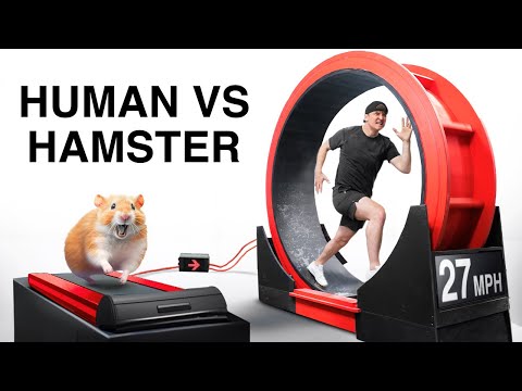 Beat The Hamster, Win $10,000 thumbnail