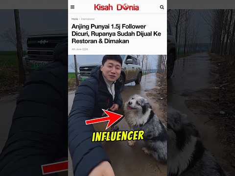 Nasib menyedihkan anjing viral yang dicuri 😭 thumbnail