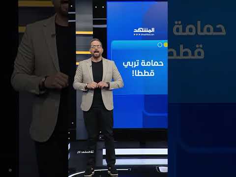 حمامة تحمي قطتين حديثتي الولادة داخل عشّها.. غريزة الأمومة في لقطة نادرة من عالم الحيوان thumbnail