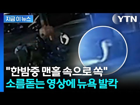 "나올 땐 옷까지 벗고"... 맨홀에서 올라온 남성들에 뉴욕 발칵 [지금이뉴스] / YTN thumbnail