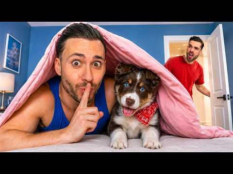 Ik Heb Stiekem Een Nieuwe Puppy In Huis (GEHEIM VOOR THOMAS) thumbnail