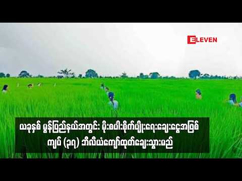ယခုနှစ် မွန်ပြည်နယ်အတွင်း မိုးစပါးစိုက်ပျိုးရေးချေးငွေအဖြစ် ကျပ် (၃၇) ဘီလီယံကျော်ထုတ်ချေးသွားမည် thumbnail