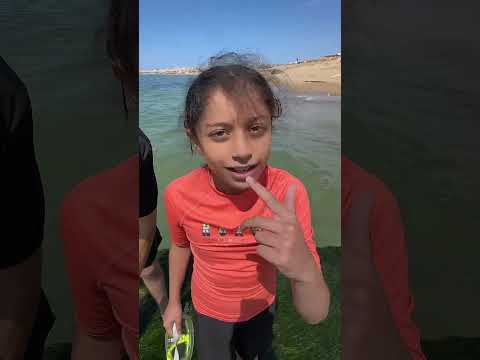 Incroyable en Algérie 😱 #humour #humoristefrancais #24heures #humor #comedy #chocolatchaud ￼ thumbnail