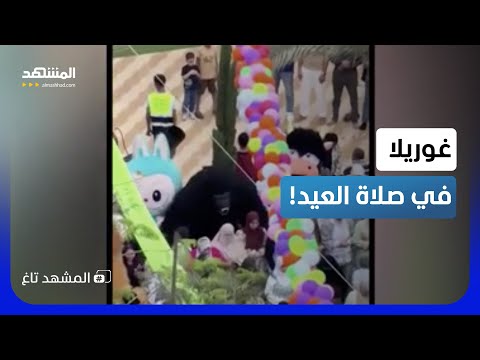 أغرب مشهد.. غوريلا ضخمة و"لابوبو" في صلاة العيد   - المشهد تاغ thumbnail