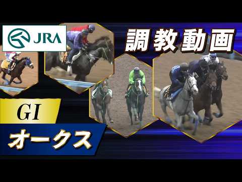 【調教動画】2026年 オークス｜JRA公式 thumbnail