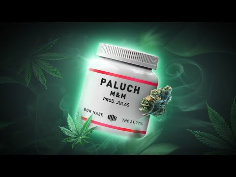 Paluch - M&M (prod. Julas) thumbnail