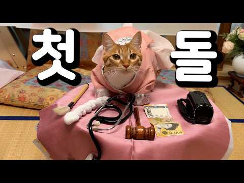 개정신없는 막둥이 돌잔치 thumbnail