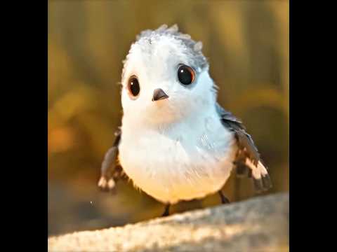 “Baby Bird Learned to Survive ”??#movie #video #film thumbnail