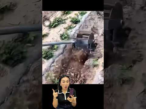 รีวิว หัวพรวนดิน #tulipkunyapak #ทิวลิปกัญญาภัค #ทำสวน #พี่ทิวลิปรีวิว #สวน thumbnail