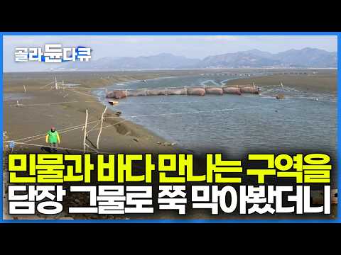 민물과 바닷물이 만나는 기수역에 담장 그물쳐서 뭘 잡는지 봤더니｜인천강 실뱀장어잡이｜한국기행｜#골라듄다큐 thumbnail