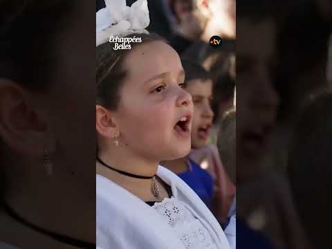 Comment vit-on l'après incendie à Barbentane ? thumbnail