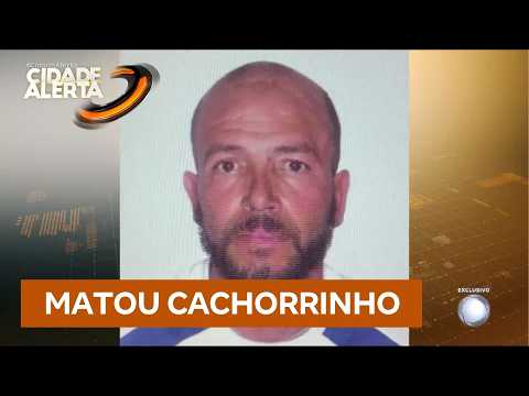 Homem é preso por matar cachorro da própria família após denúncia dos filhos thumbnail