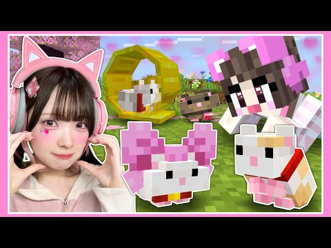 もしもマイクラに『ハムスター』が追加されたら…🐹🌱？【マインクラフト / Minecraft】【たまちゃん】 thumbnail