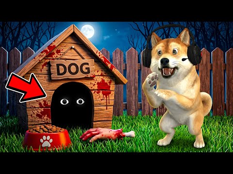 ISSO NÃO É UM CACHORRO... thumbnail
