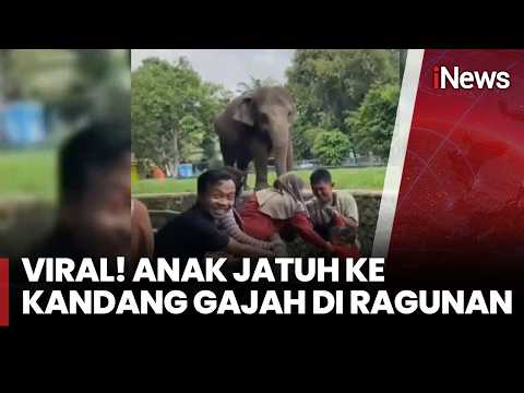 Detik-Detik Anak Jatuh ke Kandang Gajah Ragunan, Pengunjung Panik | iNews Pagi (31/5) thumbnail