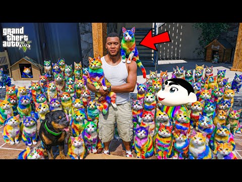GTA 5 : Franklin & Shinchan Rescued Hundreds Of Homeless Cats!? | GTA 5 Bangla Gameplay thumbnail