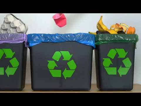 Help the Planet  Helping the Environment  How to Take Care of the Environment ¦ English Portal 1080p thumbnail